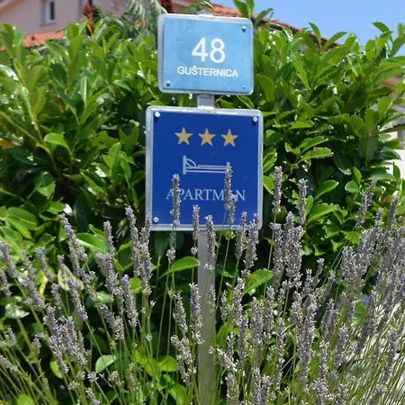 Silvija Apartamento Vrh (Krk)